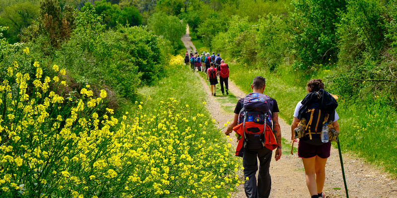 Pilgrims walking on the path to San Gimignano / @Kantois, CLAUDIO CANTU' - KANTOIS