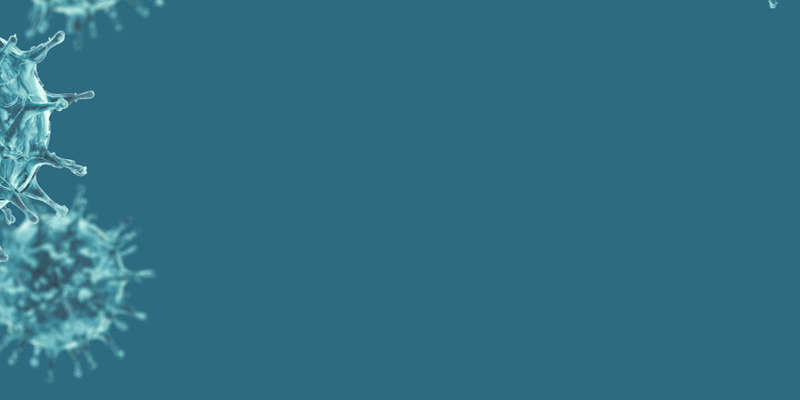 Levan - stock.adobe.com